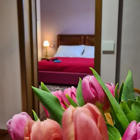 Zi Bitta - 3* Palmanova