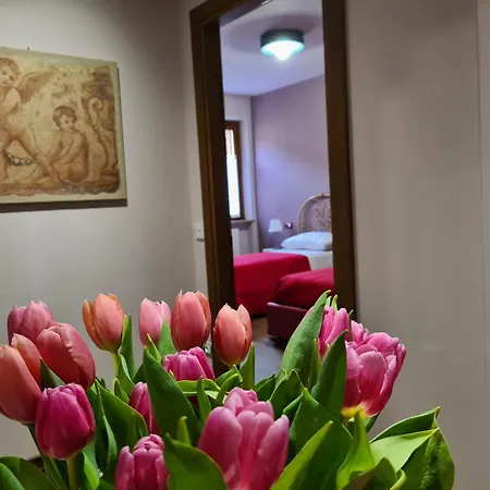 Zi Bitta - 3* Palmanova